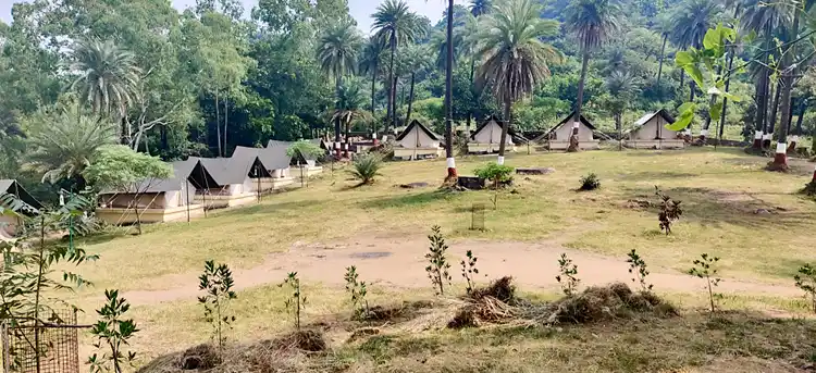 SkyTrek Adventure campsite tents among trees in Mount Abu